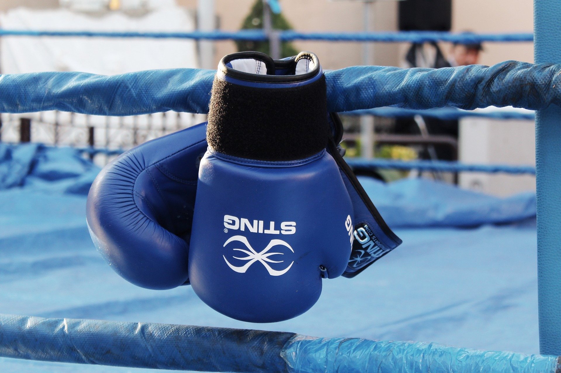 Boxing Ring and Gloves