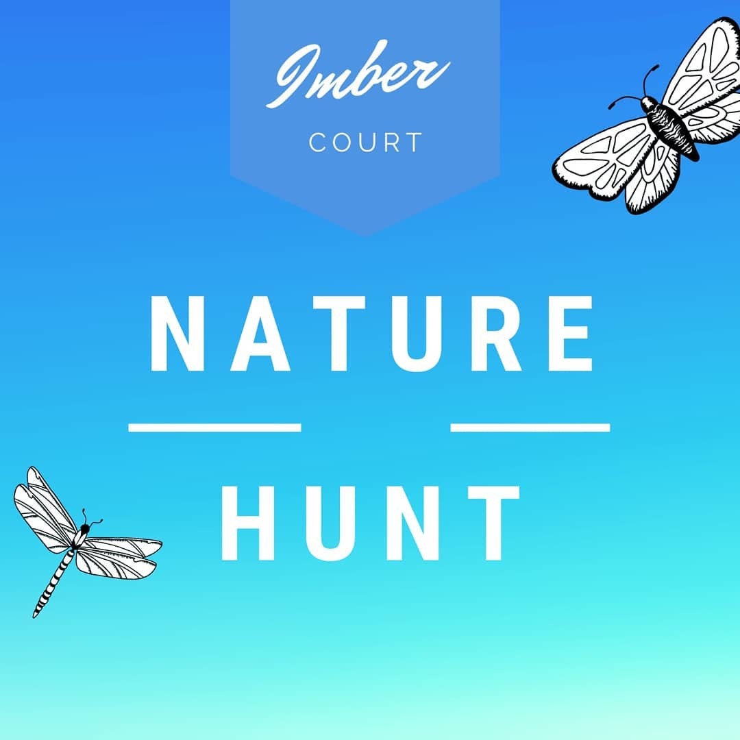 a poster advertising the imber court nature hunt