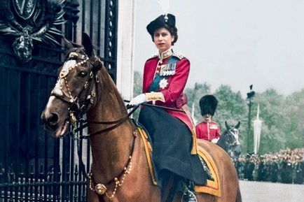 Our Queen on Police Horse Winston