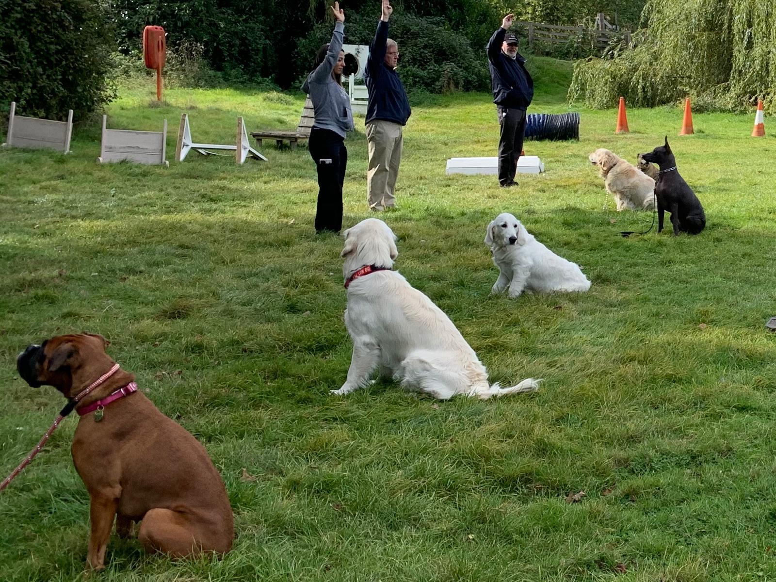 Dog training at imber court