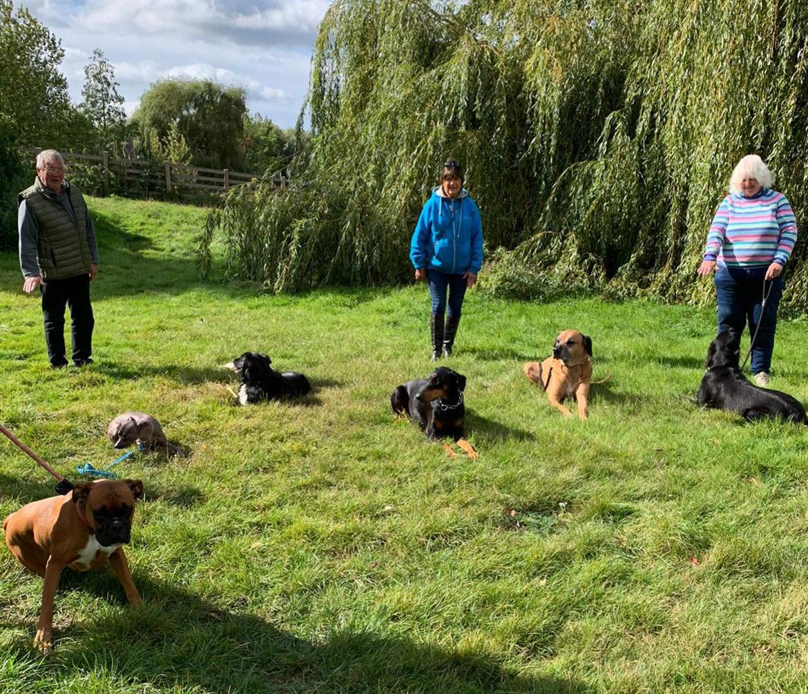 Dog training by the river at imber court